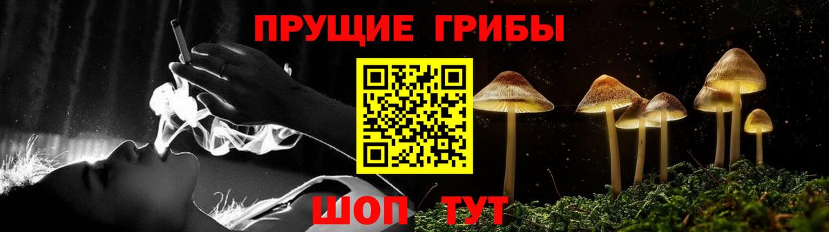 Псилоцибиновые грибы Cubensis Дальнереченск